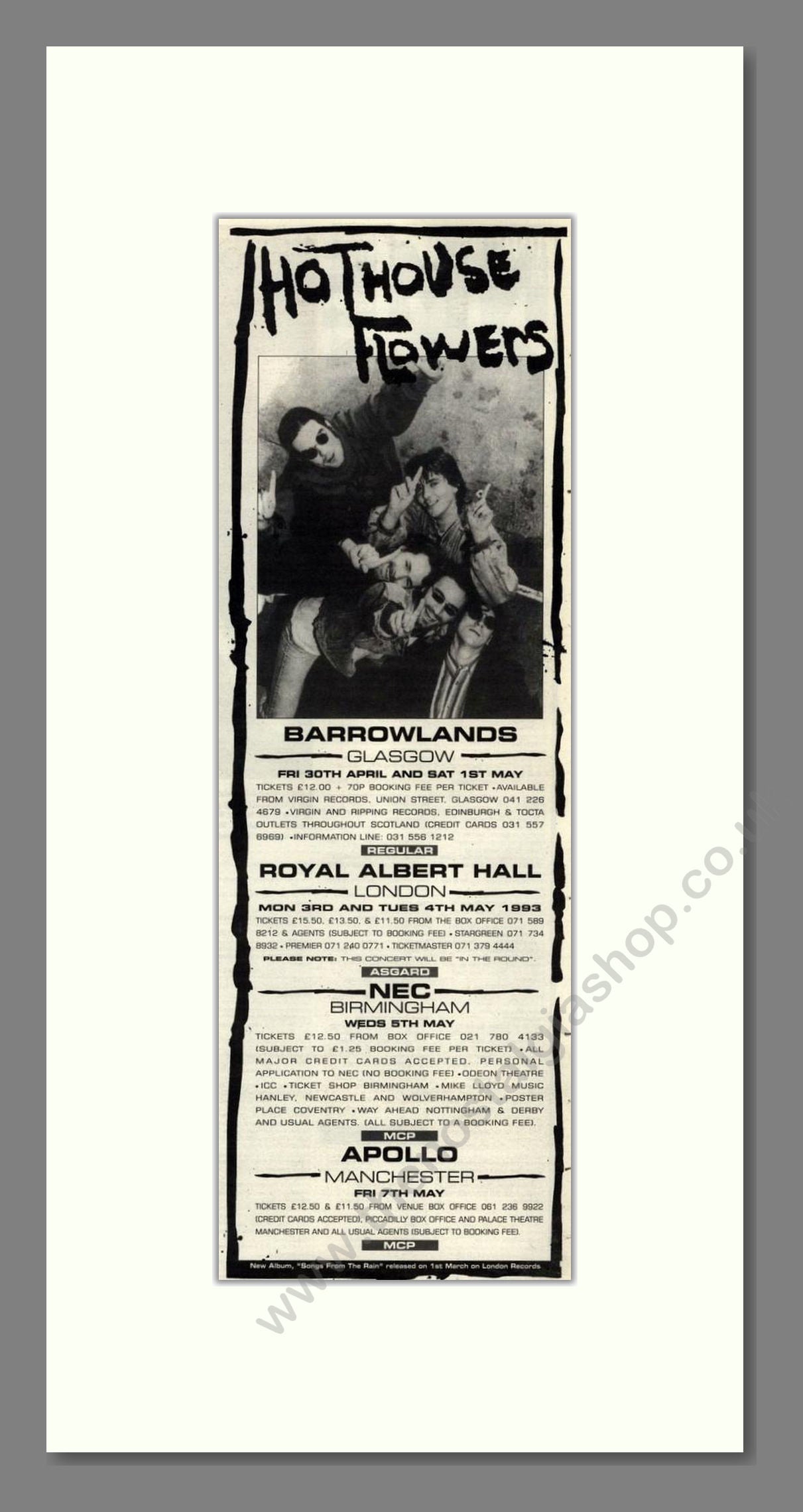 Hothouse Flowers - UK Tour. Vintage Advert 1993 (ref AD201744)