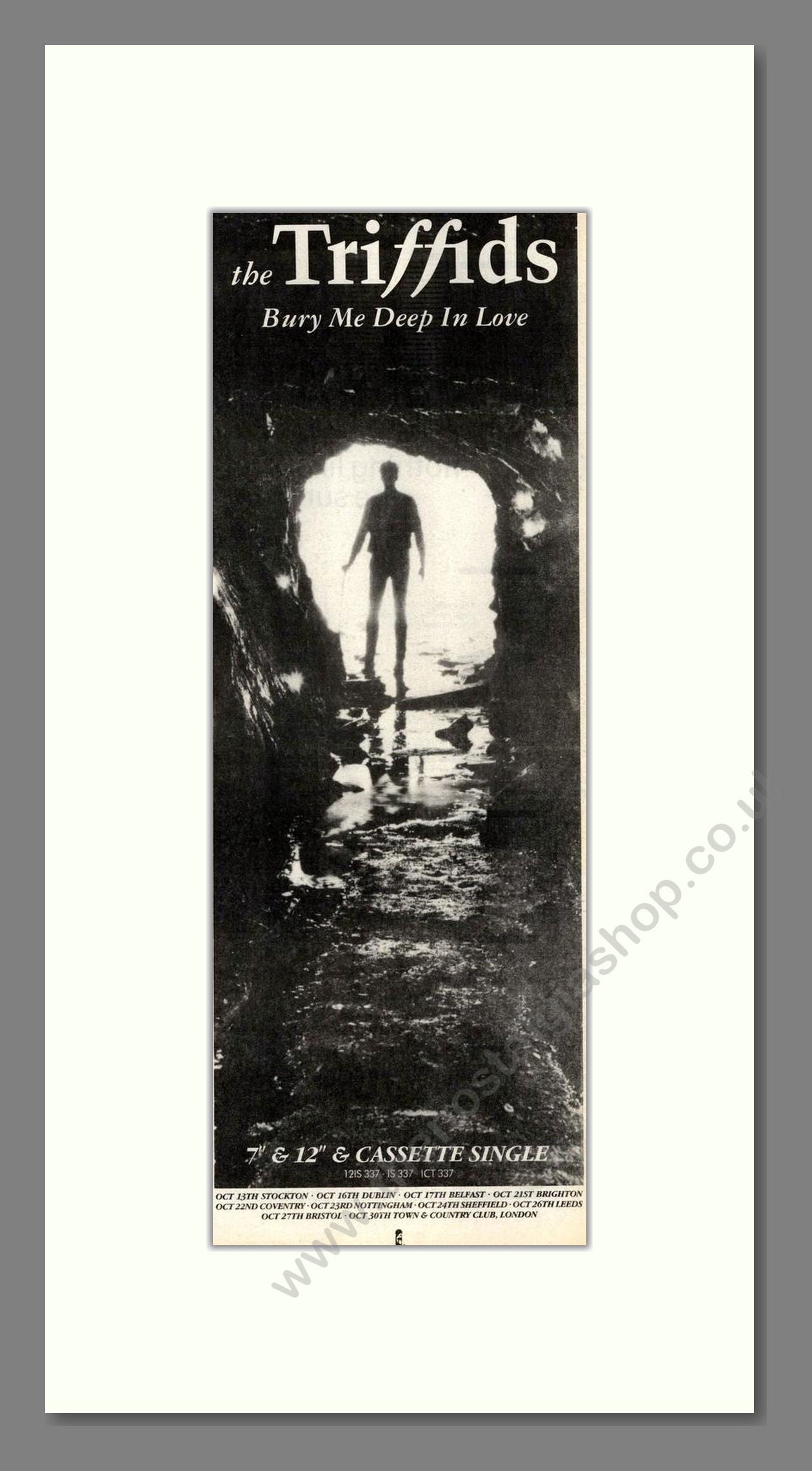 Triffids (The) - Bury Me Deep In Love. Vintage Advert 1987 (ref AD201860)