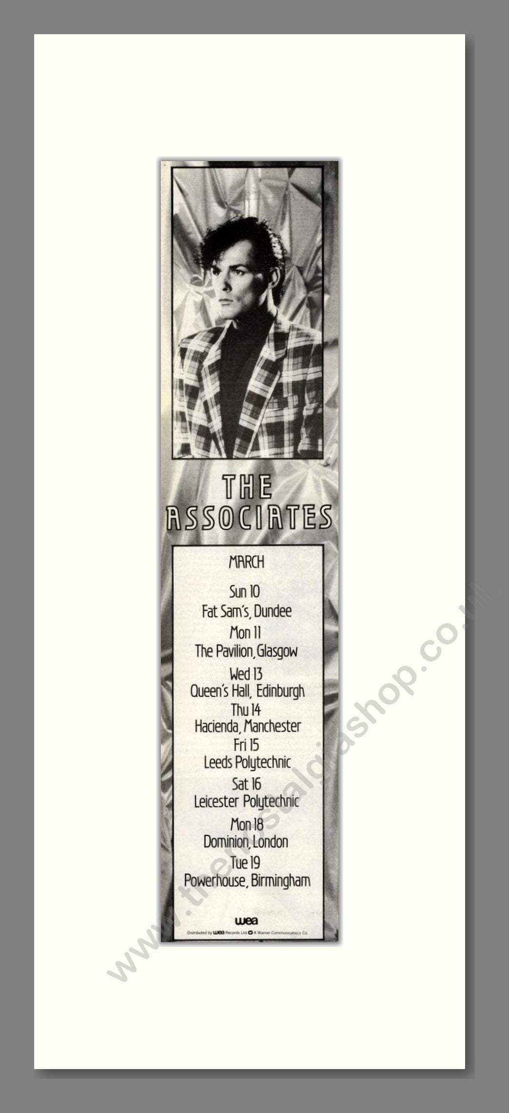 Associates (The) - UK Tour. Vintage Advert 1985 (ref AD201934)