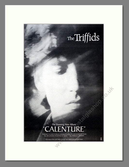 Triffids (The) - Calenture. Vintage Advert 1987 (ref AD18538)