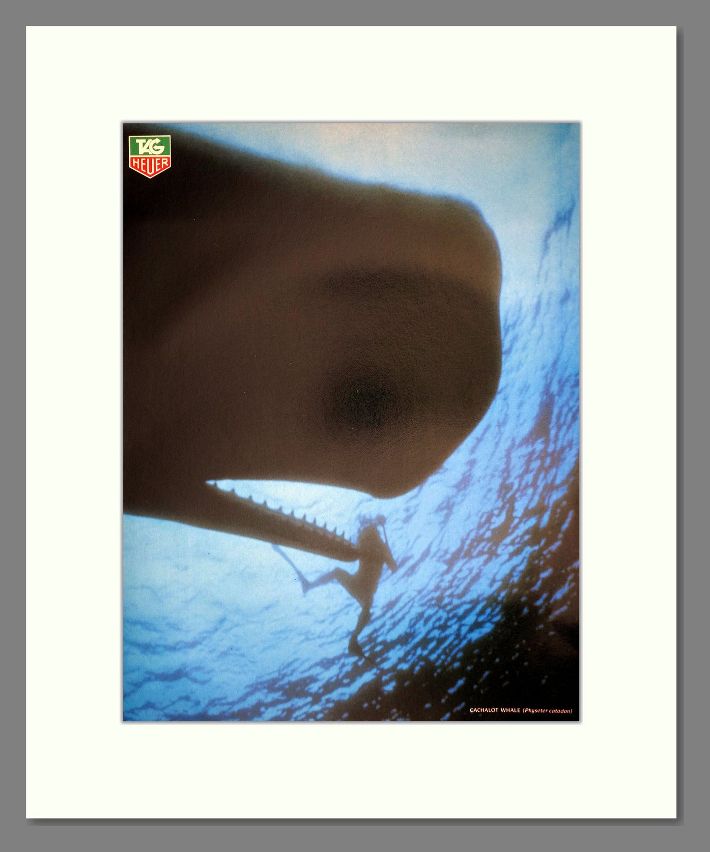 Tag Heuer - Diving Watch. Vintage Advert 1988 (ref AD62576) Double Advert