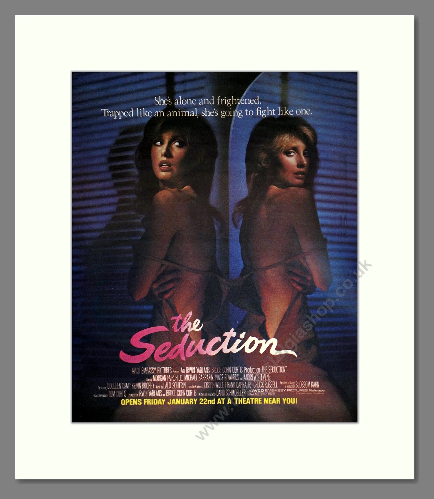 Seduction (The) - Morgan Fairchild. Vintage Advert 1982 (ref AD302213)