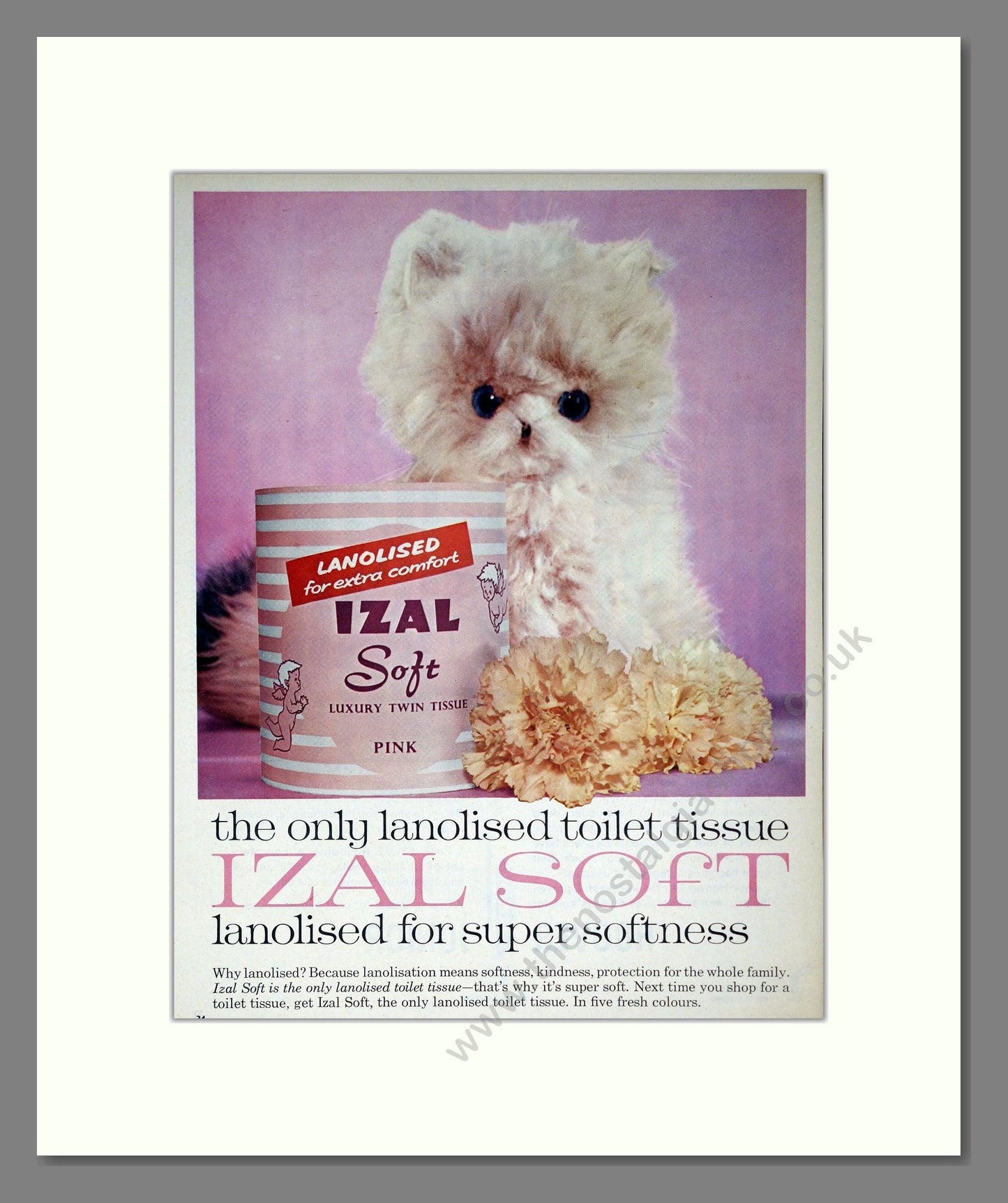 Izal - Lanolised Toilet Tissue. Vintage Advert 1963 (ref AD302884)