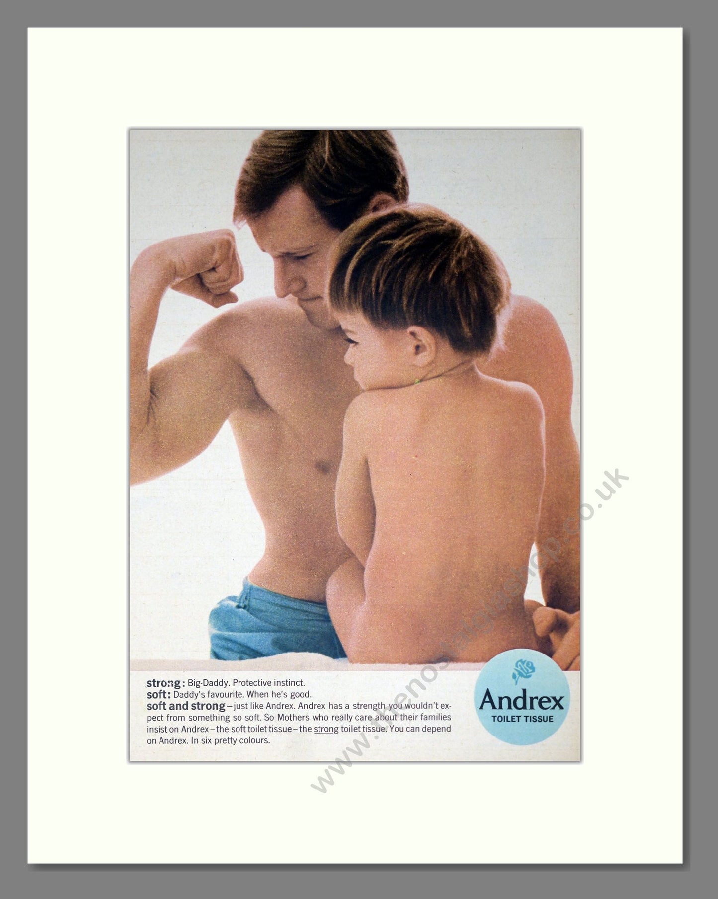 Andrex - Toilet Tissue. Vintage Advert 1965 (ref AD302894)