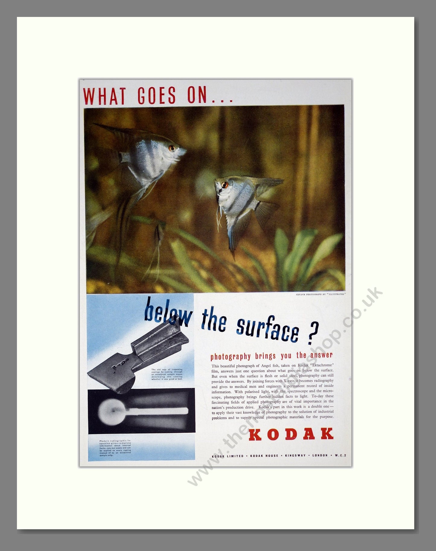 Kodak - Ektachrome. Vintage Advert 1949 (ref AD303109)