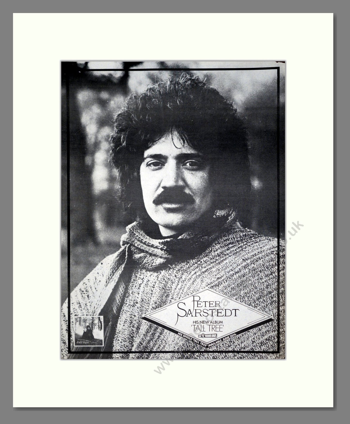 Peter Sarstedt - Tall Tree. Vintage Advert 1975 (ref AD20264)