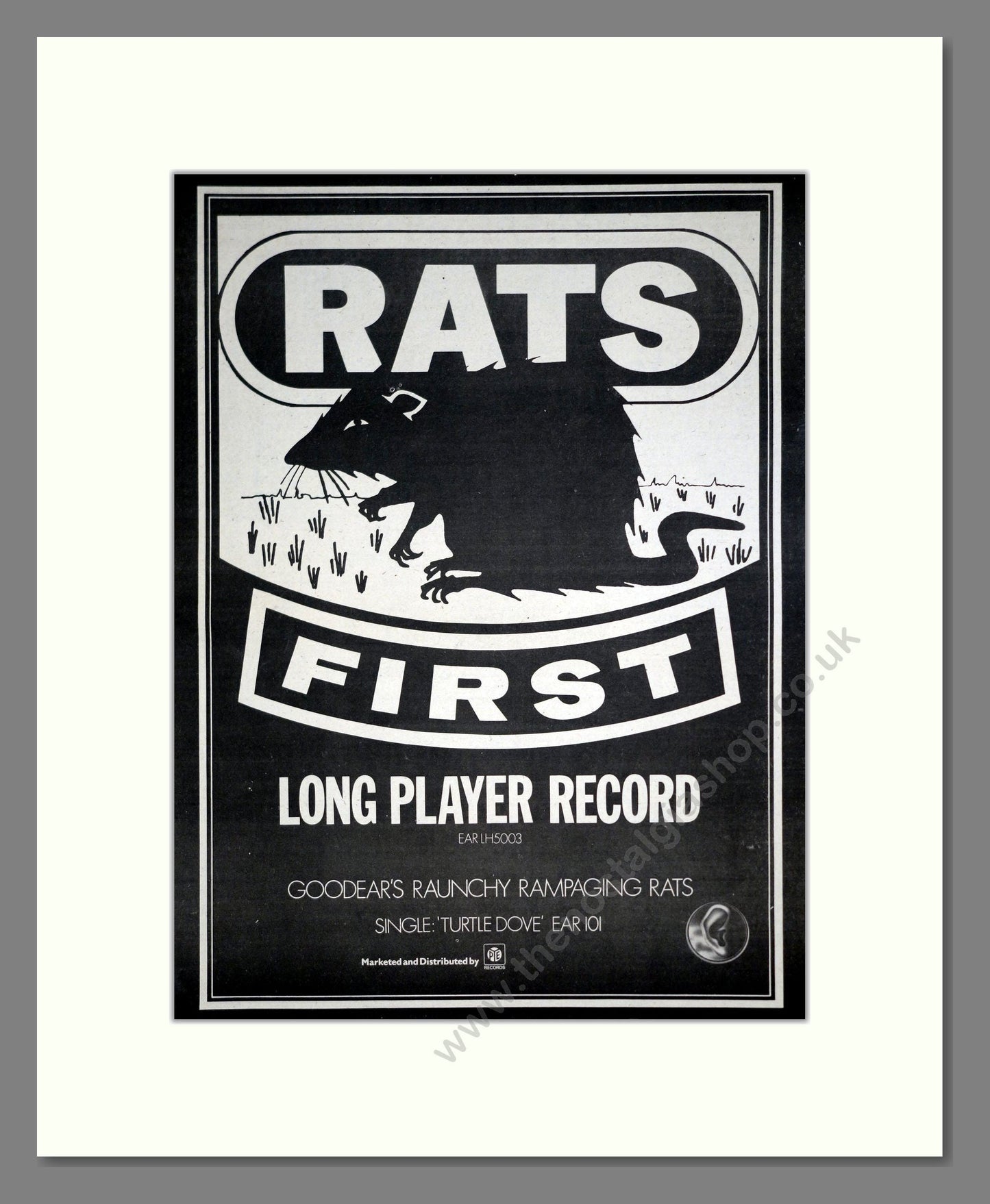 Rats - Debut LP. Vintage Advert 1974 (ref AD20335)