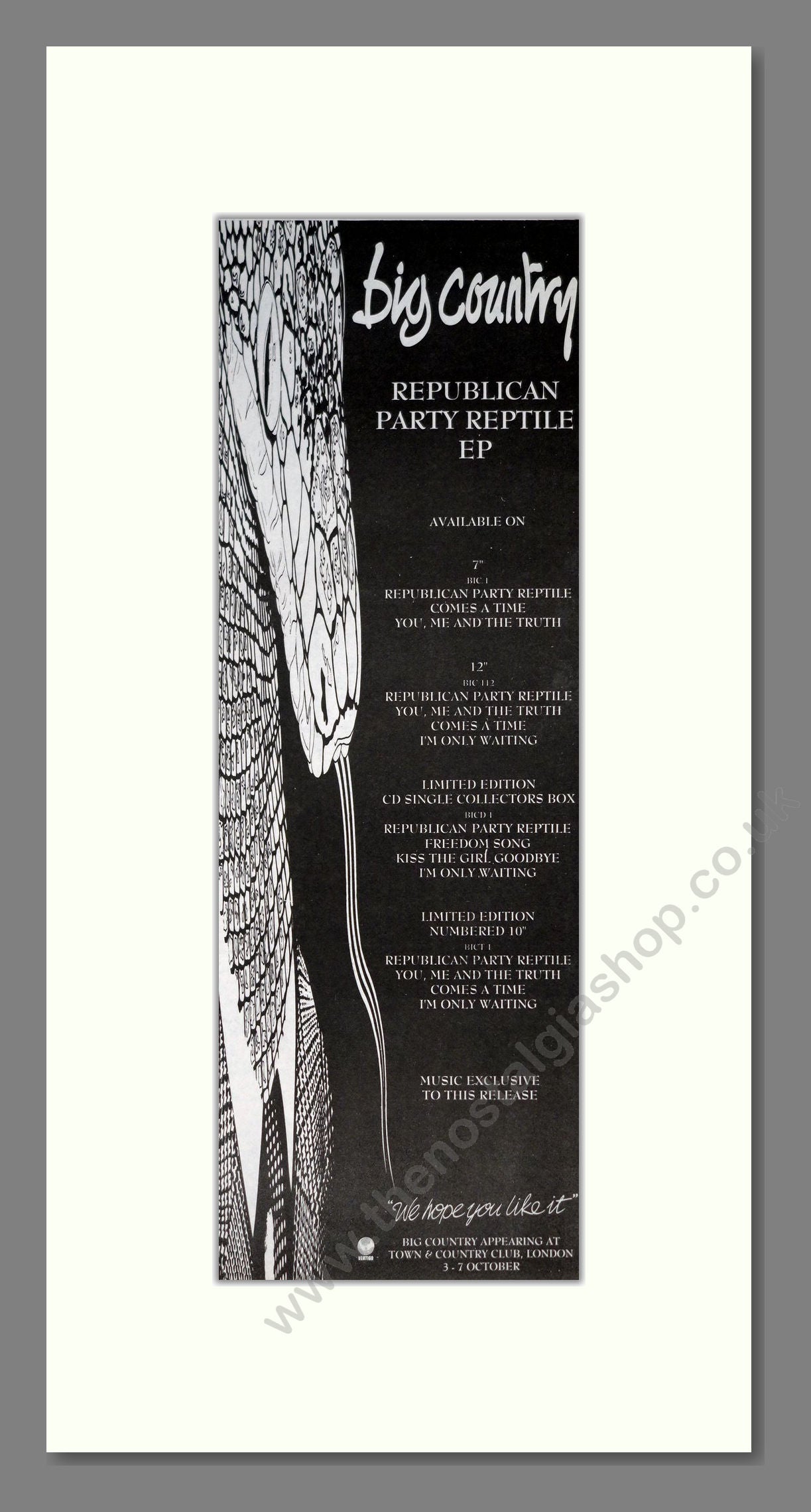 Big Country - Republican Party Reptile EP. Vintage Advert 1991 (ref AD201516)