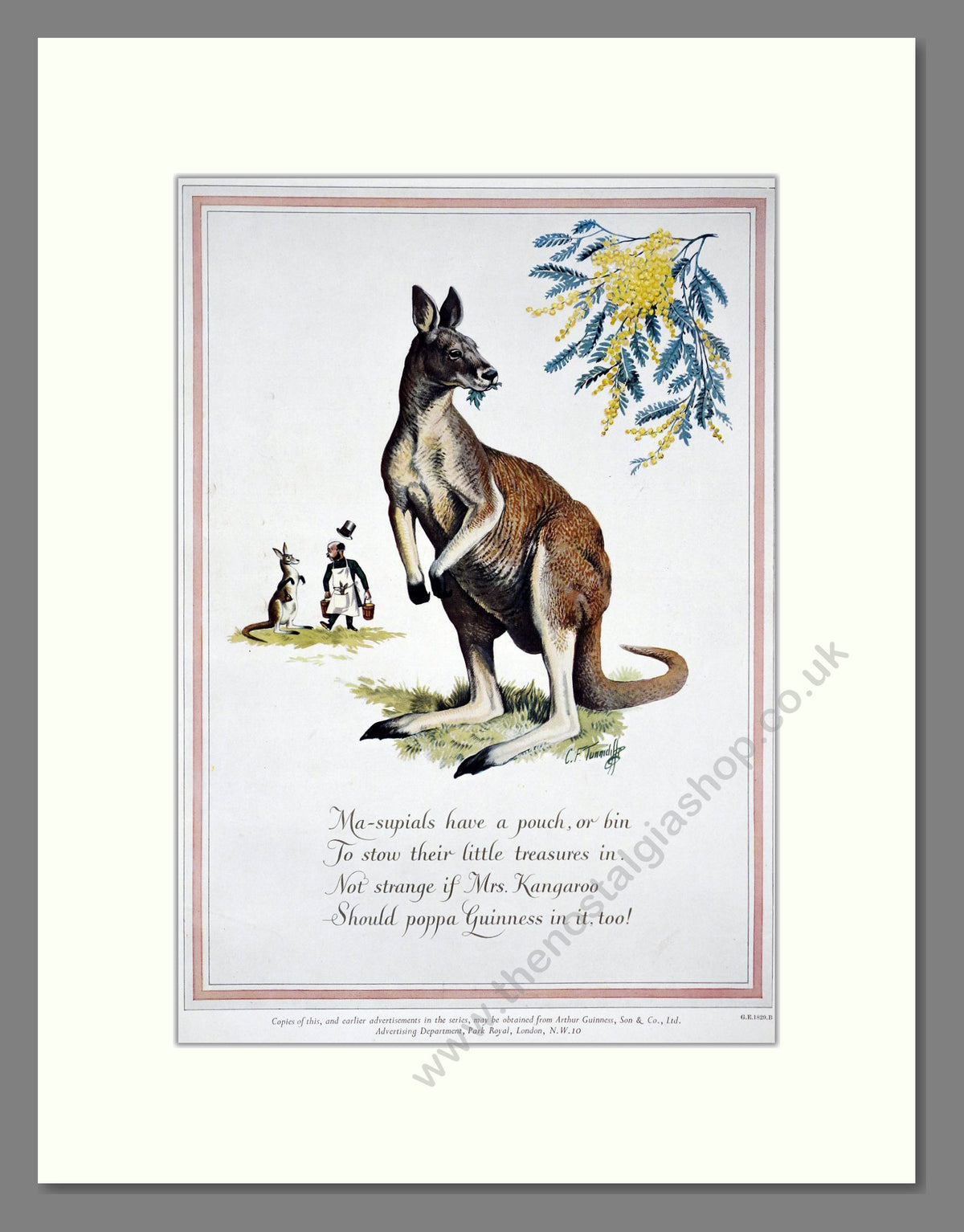 Guinness Kangaroo 1952 Large Original Advert (ref AD303858)