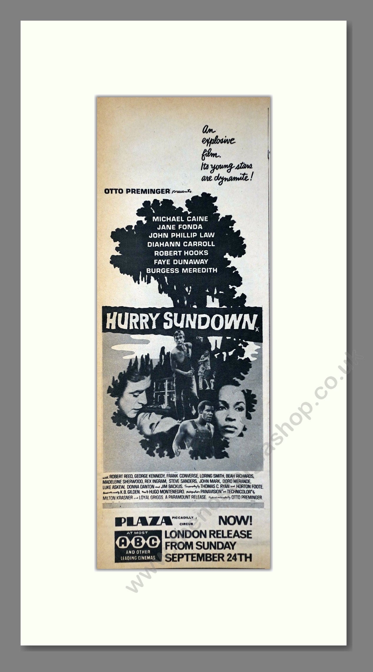 Hurry Sundown. Original Advert 1967 (ref AD400218)