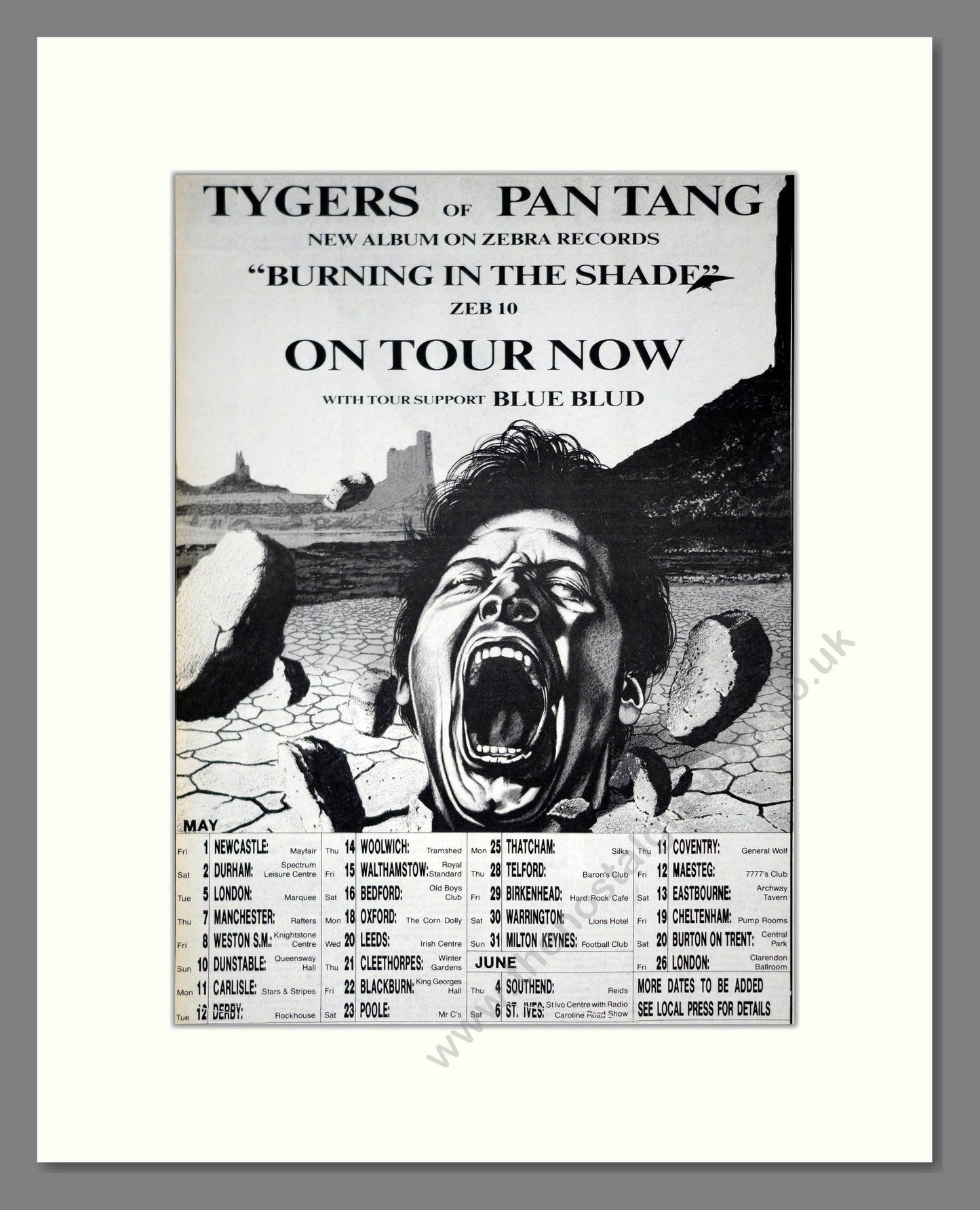 Tygers Of Pan Tang - Burning In The Shade. Vintage Advert 1987 (ref AD20861)