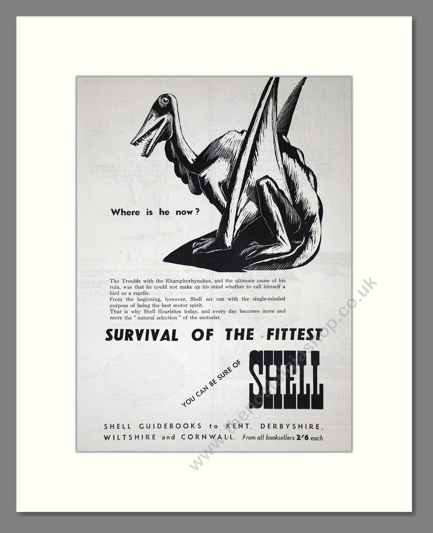 Shell - Survival Of The Fittest. Vintage Advert 1935 (ref AD65623)