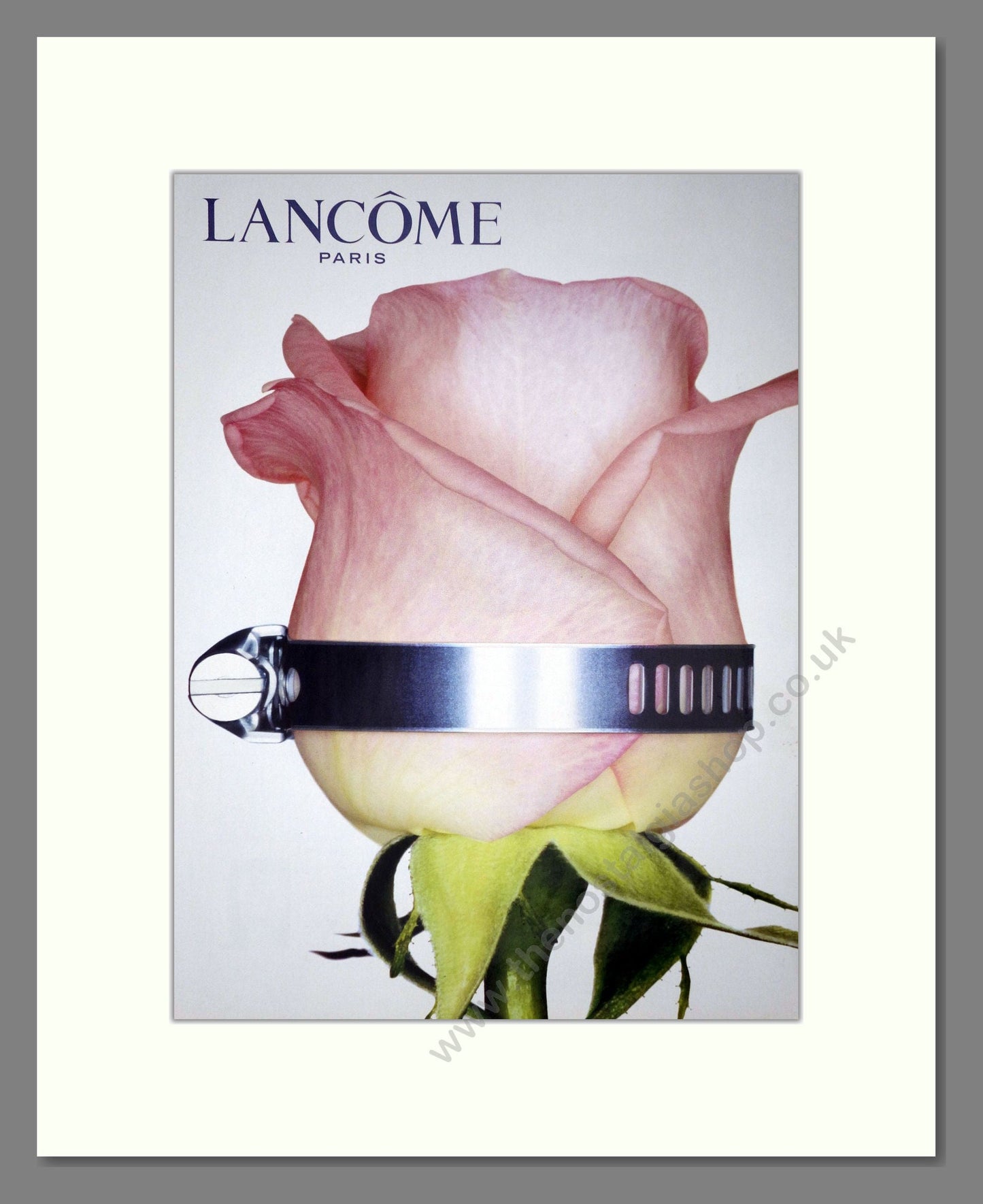 Lancome - Rose. Vintage Advert 2001 (ref AD66093)