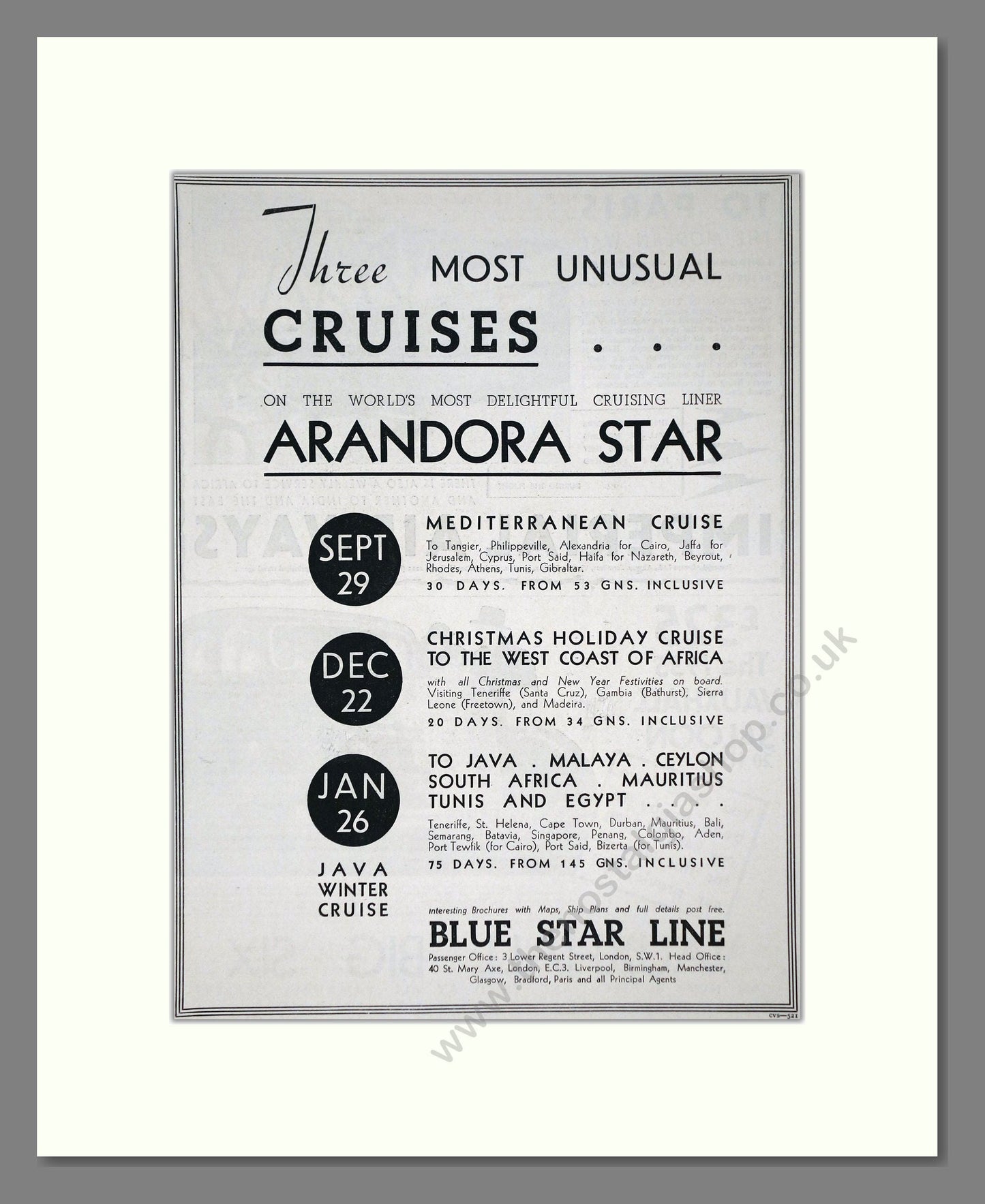 Blue Star Line - Arandora Star Ship. Vintage Advert 1934 (ref AD66664)