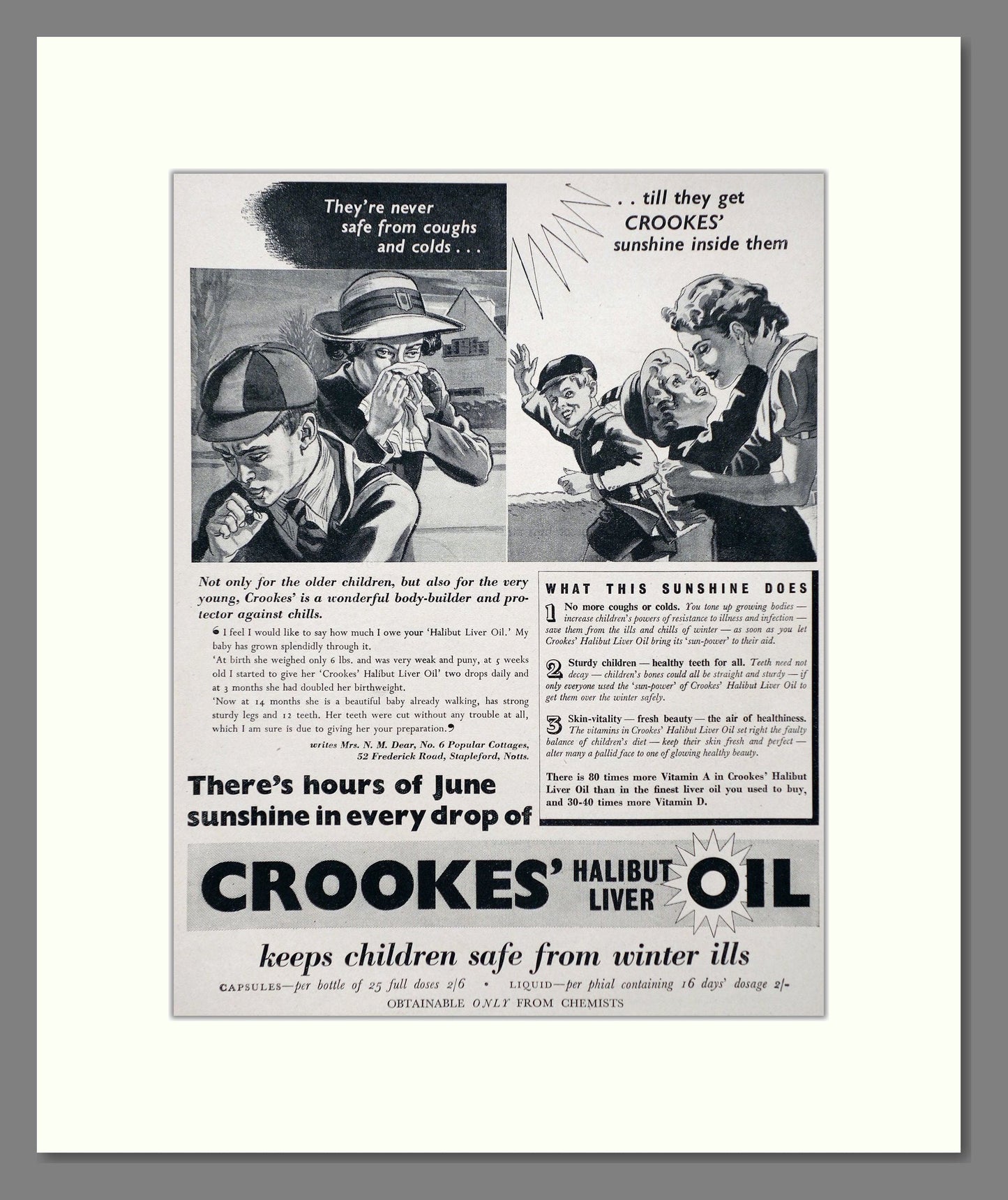 Crookes - Halibut Liver Oil. Vintage Advert 1938 (ref AD66895)