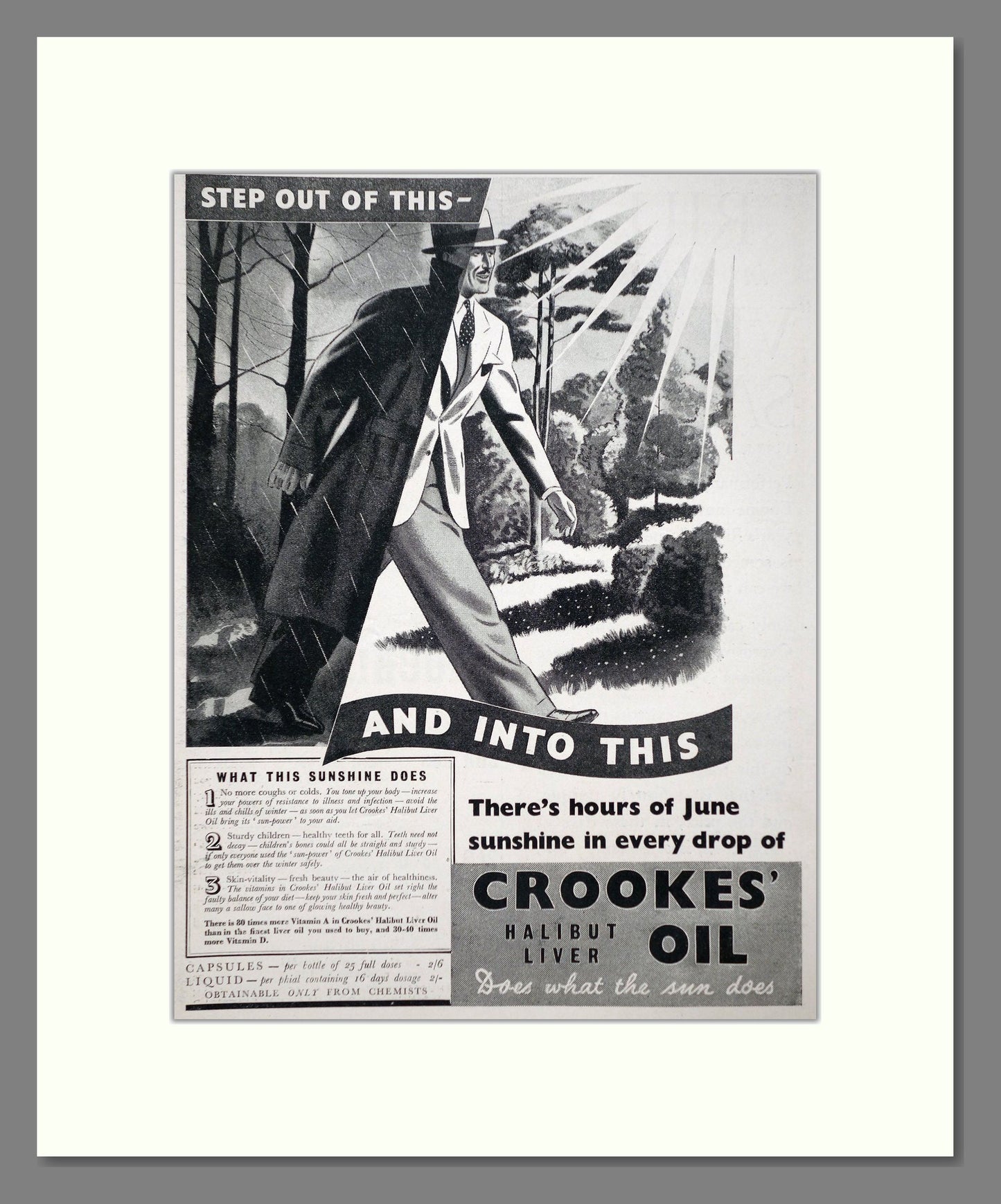 Crookes - Halibut Liver Oil. Vintage Advert 1937 (ref AD66896)