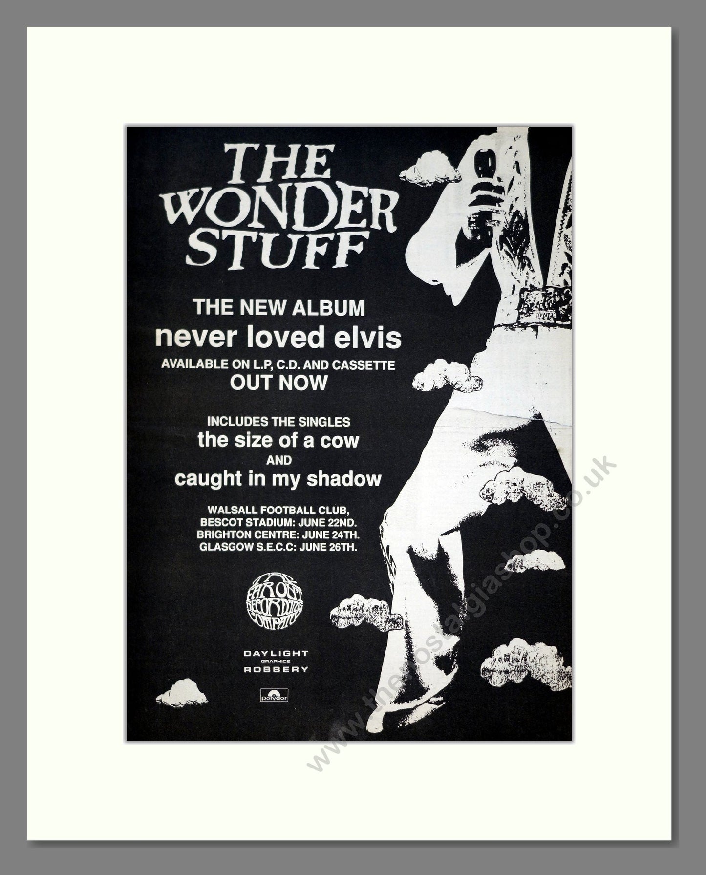 Wonder Stuff (The) - Never Loved Elvis. Vintage Advert 1991 (ref AD20909)