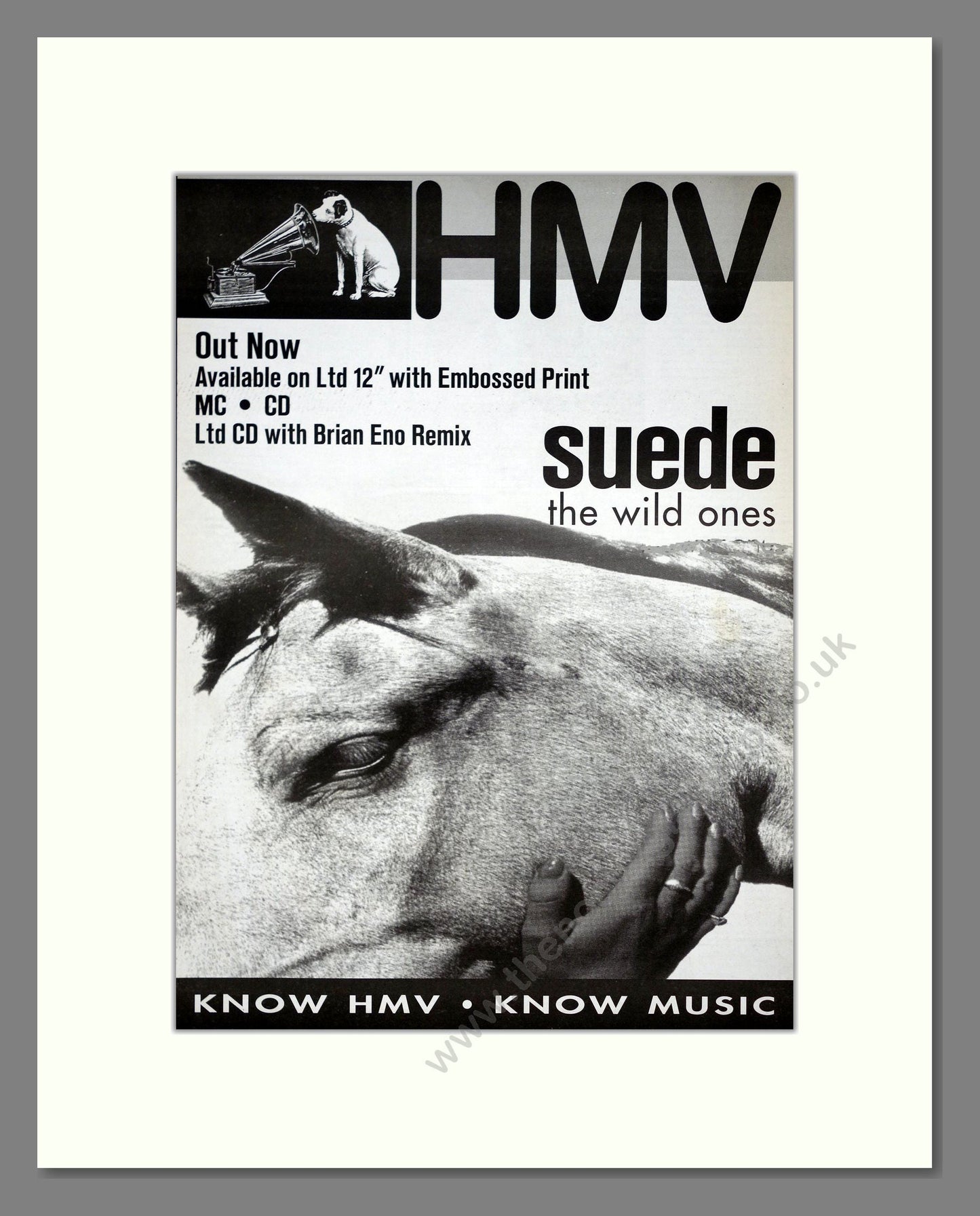 Suede - The Wild Ones. Vintage Advert 1994 (ref AD20947)
