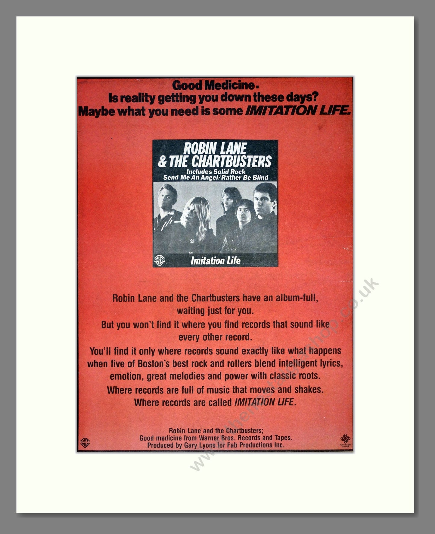 Robin Lane And The Chartbusters - Imitation Life. Vintage Advert 1981 (ref AD21063)