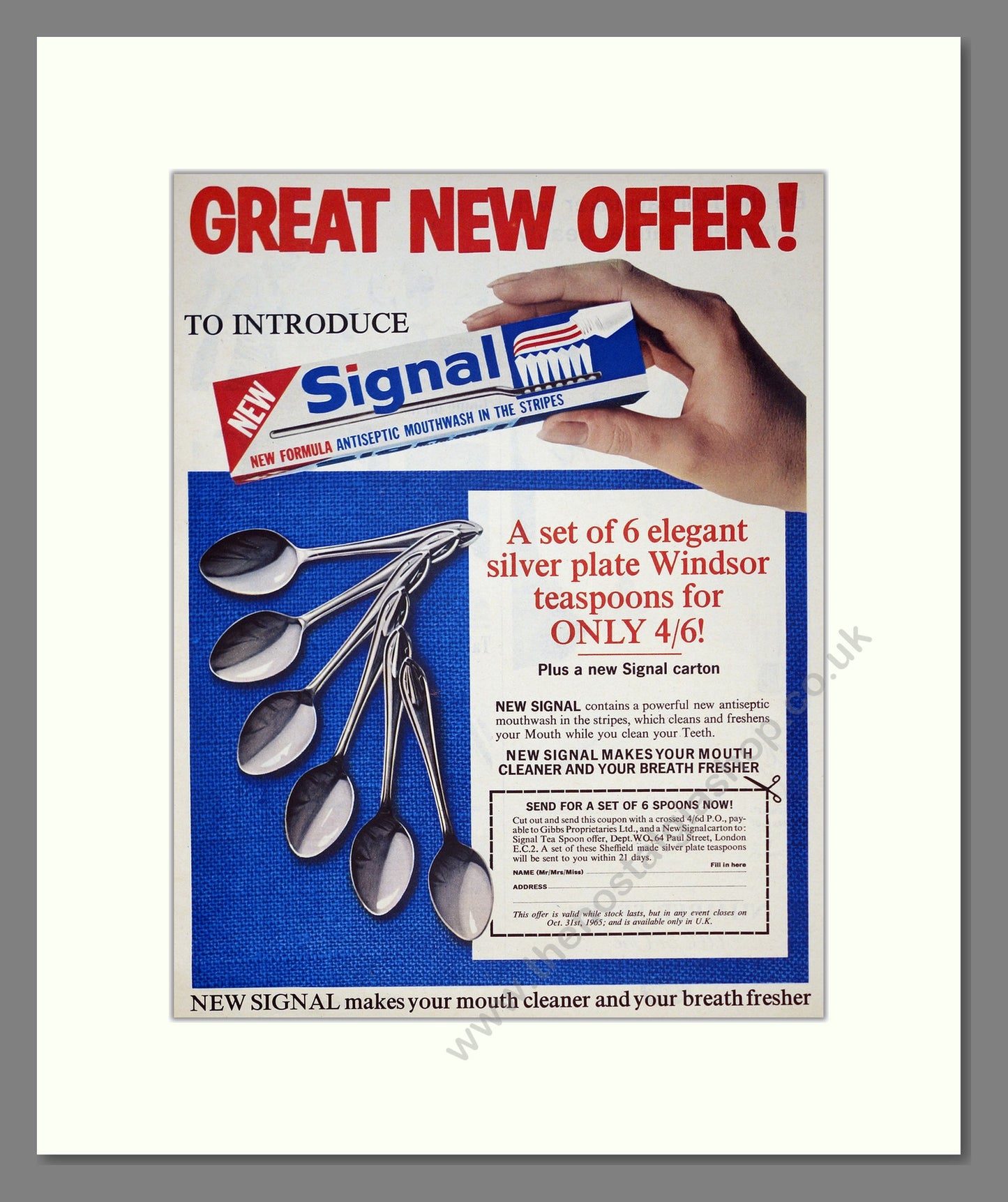Signal Toothpaste. Original Advert 1965 (ref AD303953)