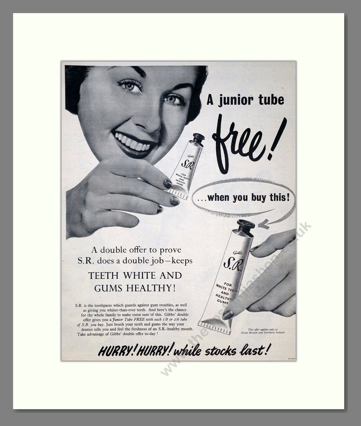 Gibbs S.R. Toothpaste. Original Advert 1952 (ref AD303961)