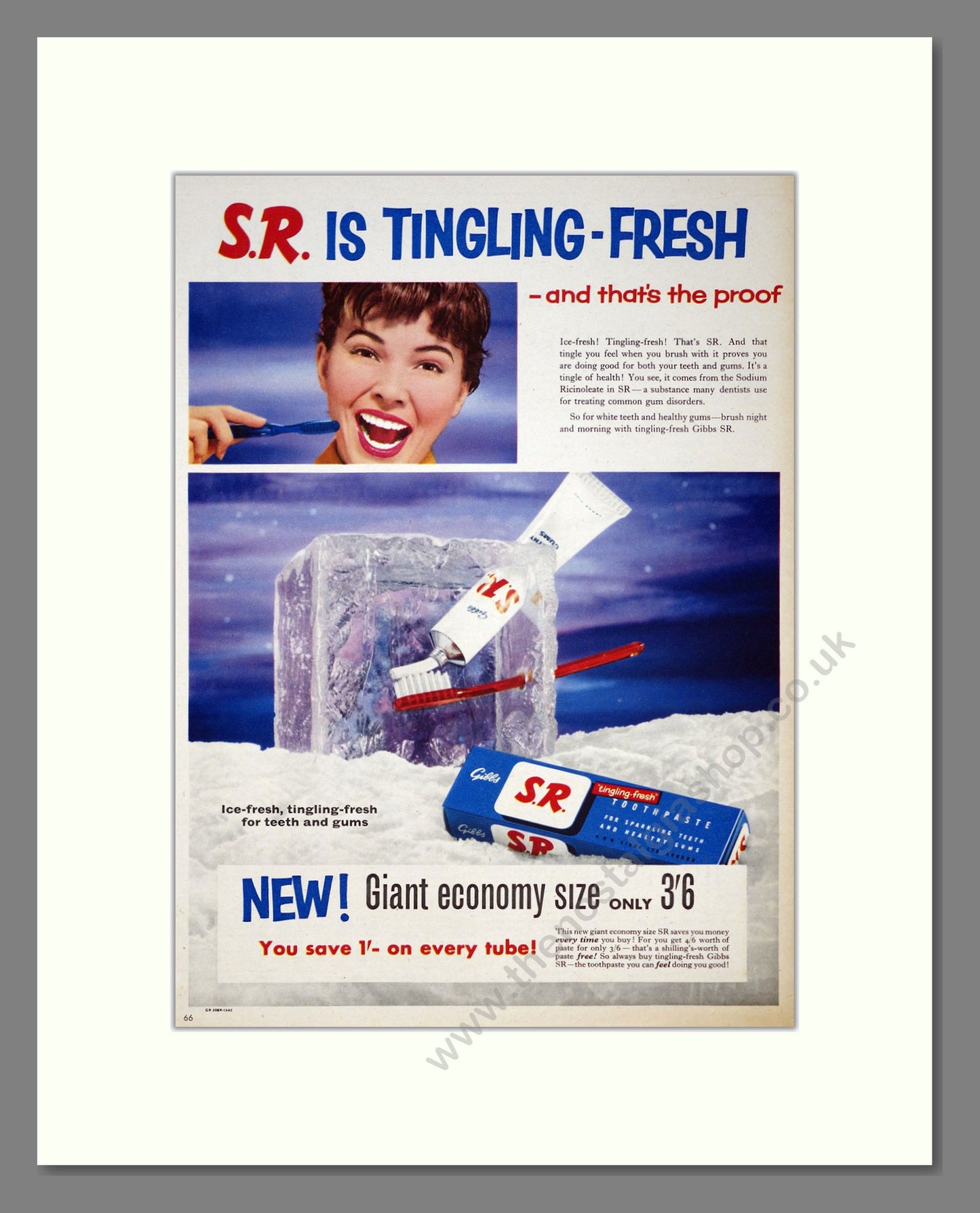 Gibbs S.R. Toothpaste. Original Advert 1956 (ref AD303966)