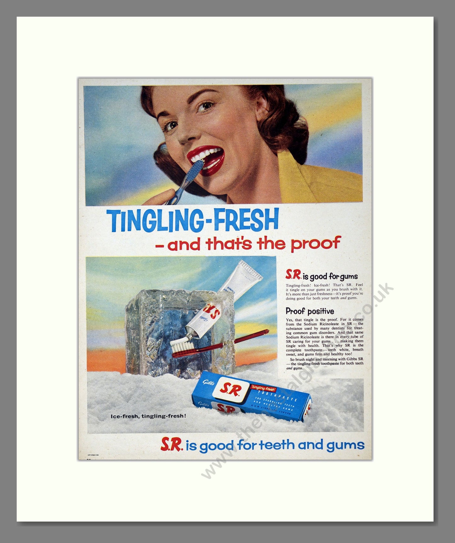 Gibbs S.R. Toothpaste. Original Advert 1956 (ref AD303967)