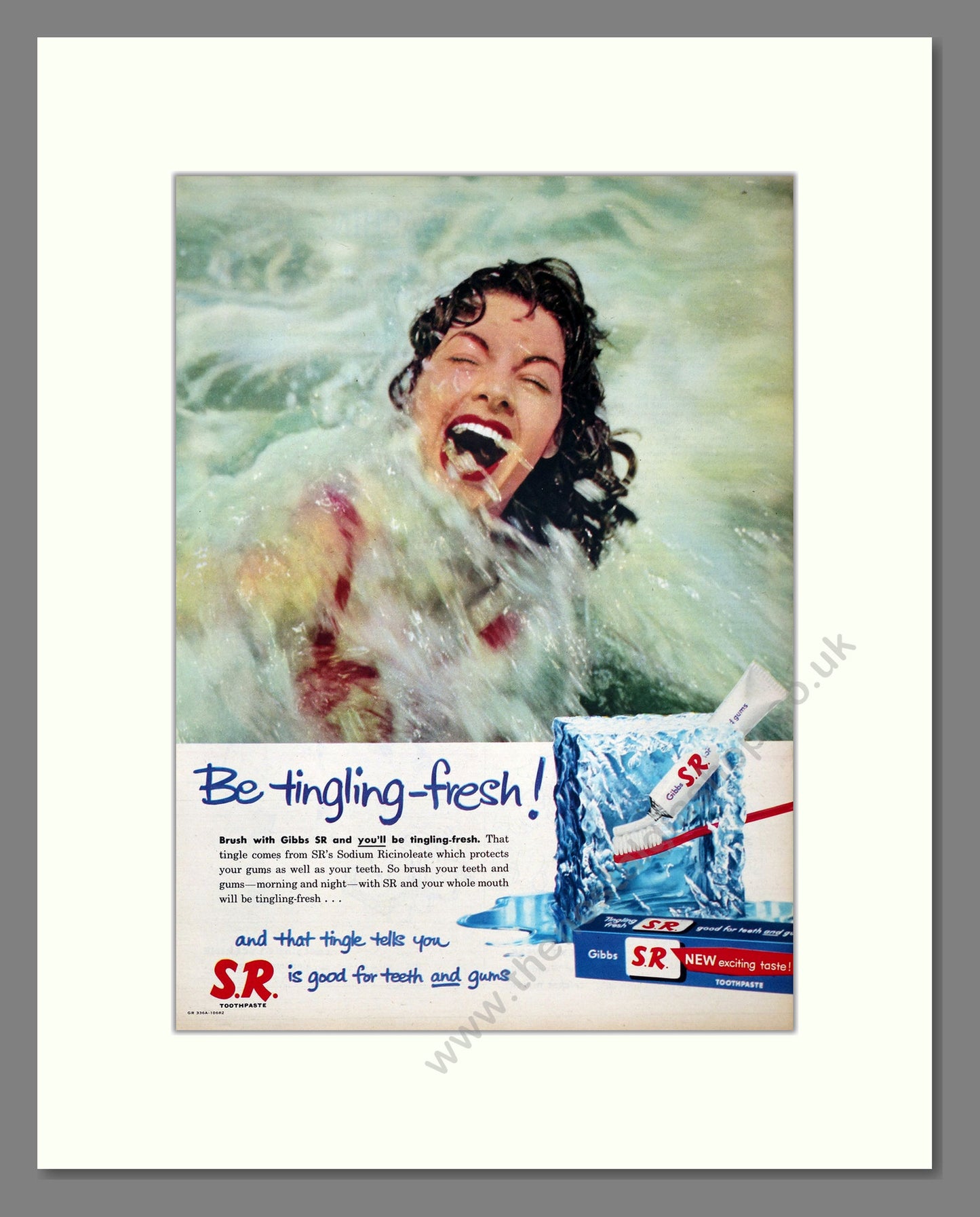 Gibbs S.R. Toothpaste. Original Advert 1958 (ref AD303969)