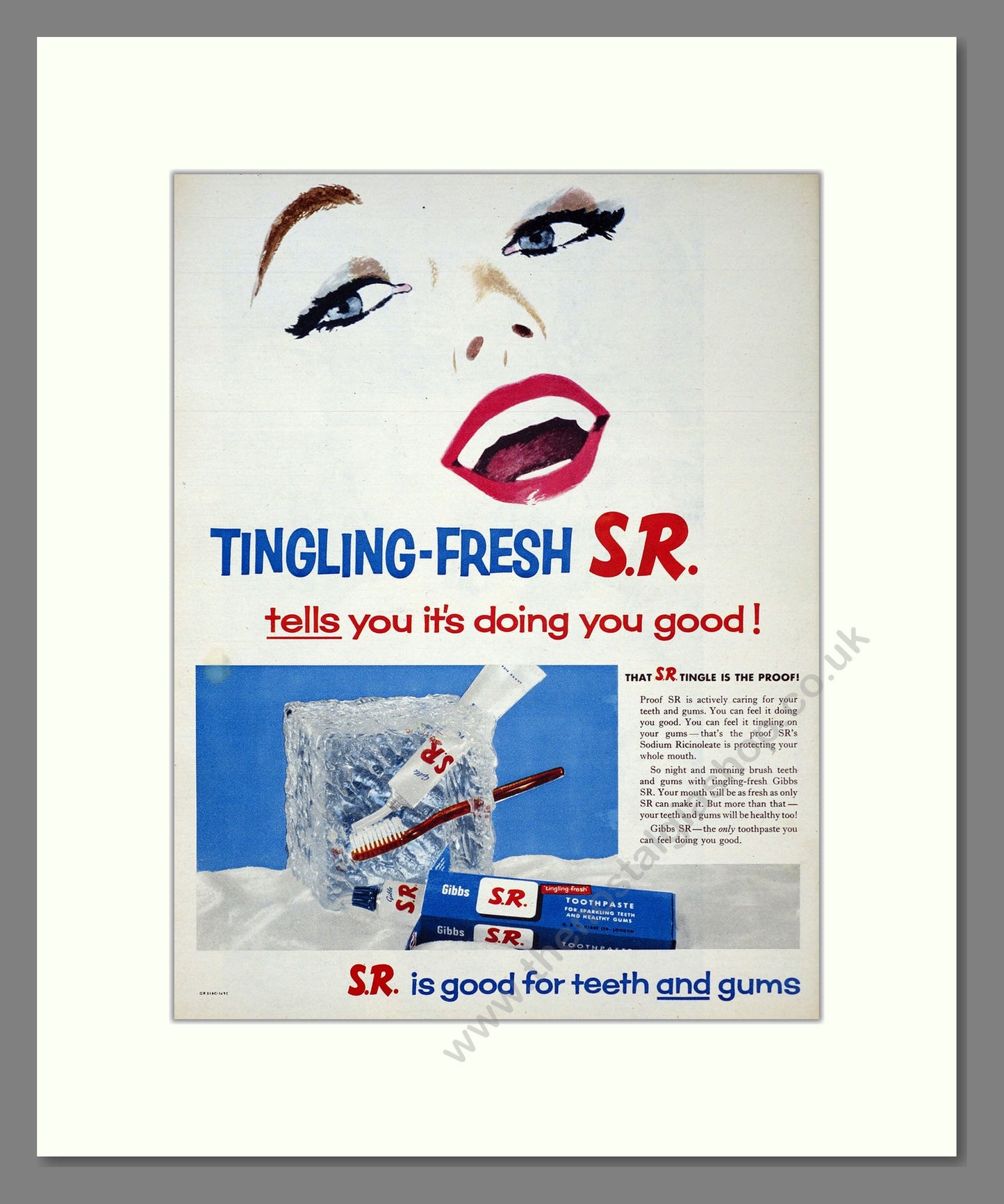 Gibbs S.R. Toothpaste. Original Advert 1957 (ref AD303971)