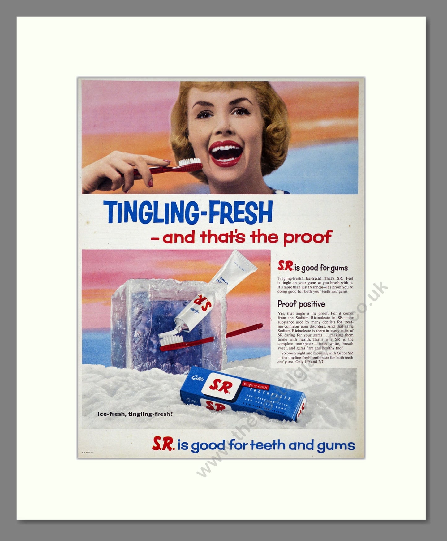 Gibbs S.R. Toothpaste. Original Advert 1956 (ref AD303974)