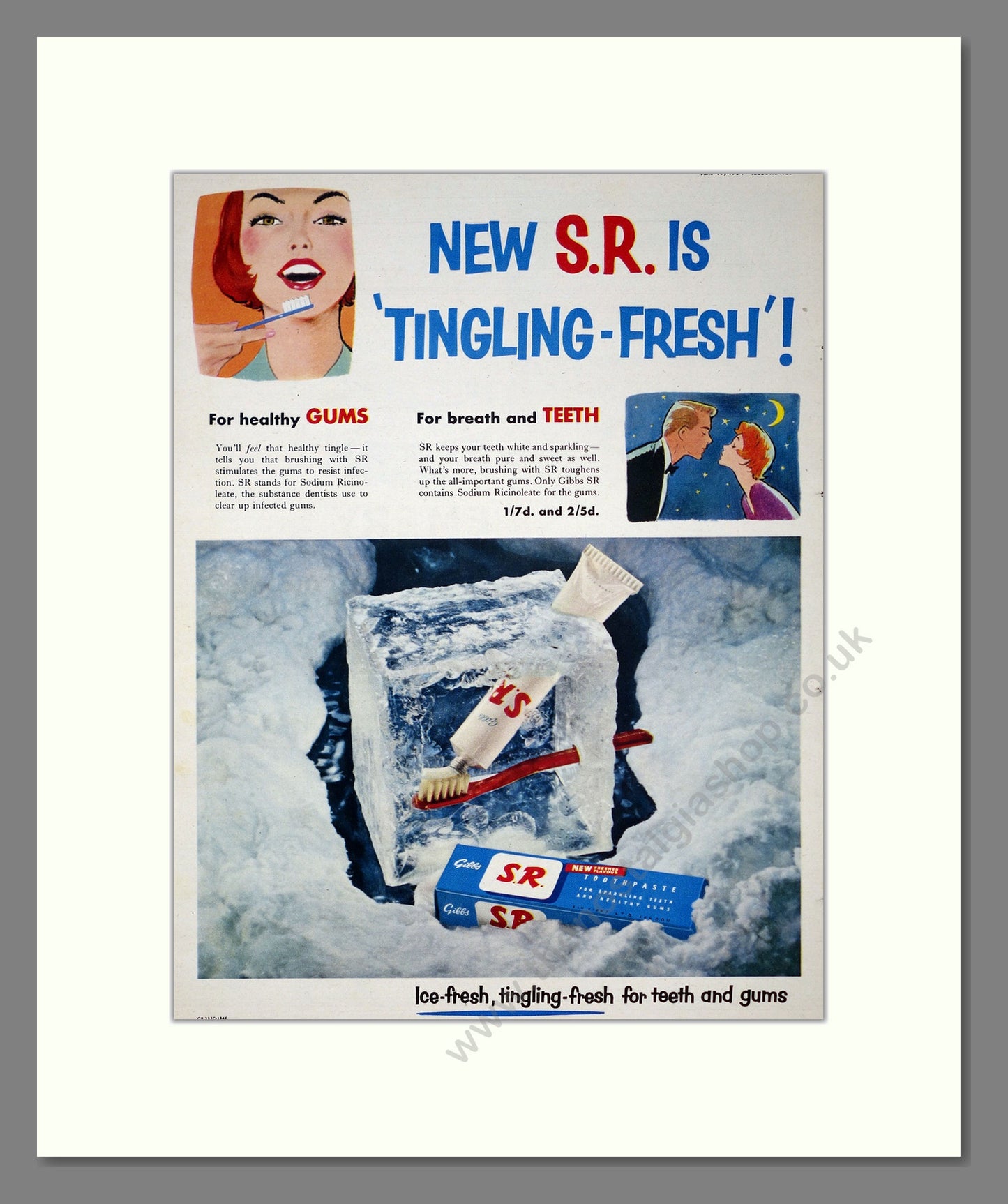 Gibbs S.R. Toothpaste. Original Advert 1954 (ref AD303975)