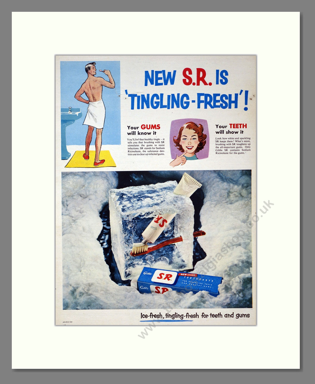 Gibbs S.R. Toothpaste. Original Advert 1954 (ref AD303977)