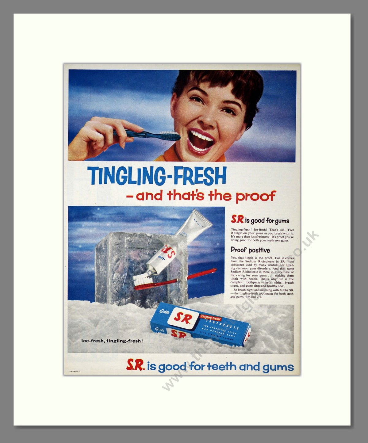 Gibbs S.R. Toothpaste. Original Advert 1956 (ref AD303980)