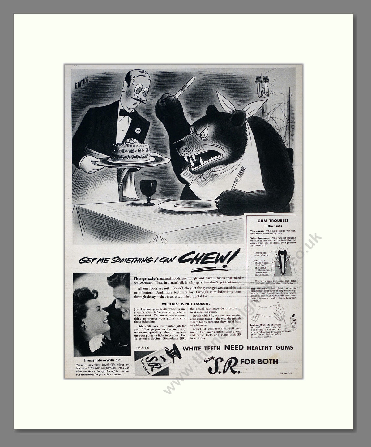 Gibbs S.R. Toothpaste. Original Advert 1952 (ref AD303982)