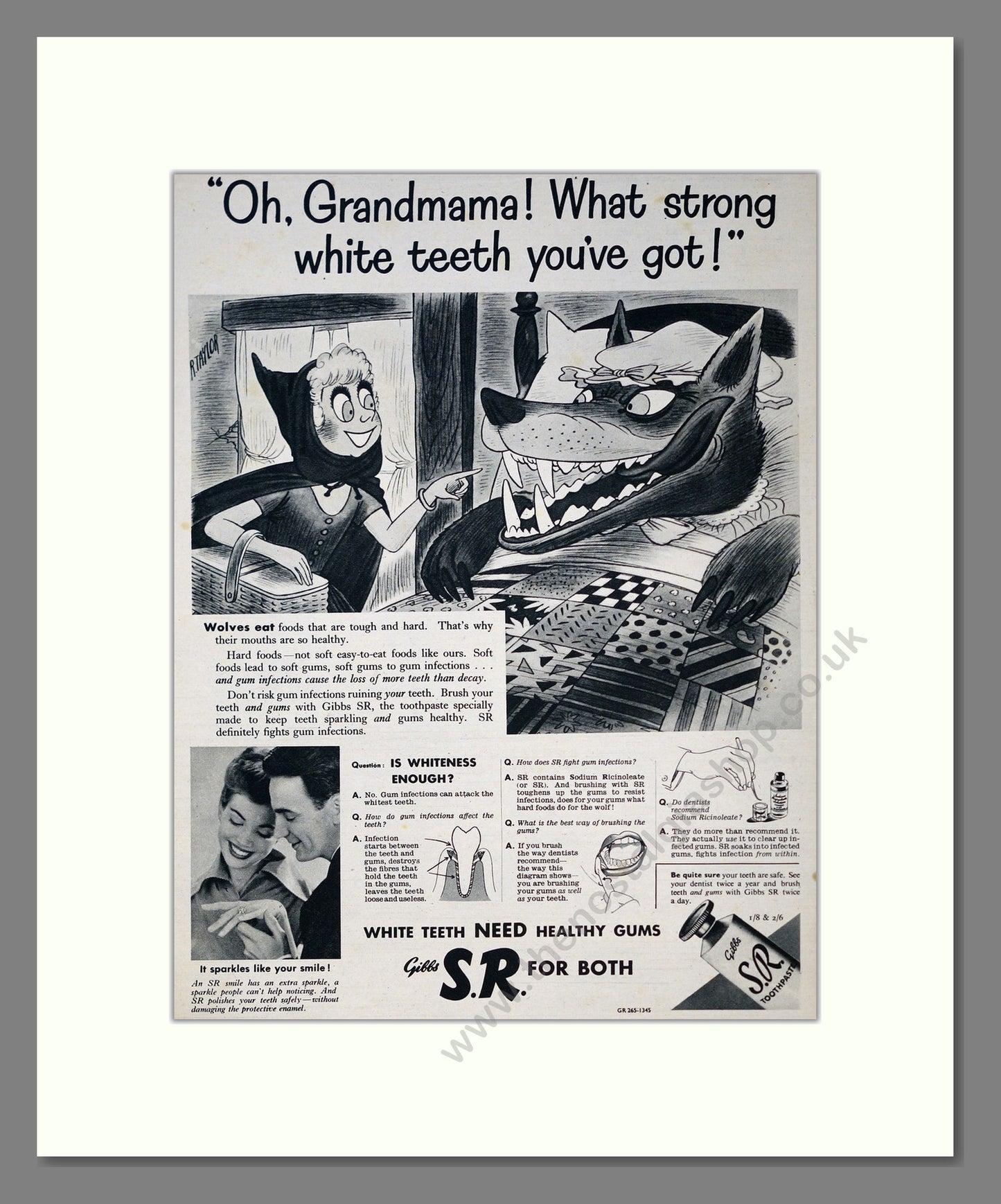 Gibbs S.R. Toothpaste. Original Advert 1952 (ref AD303983)