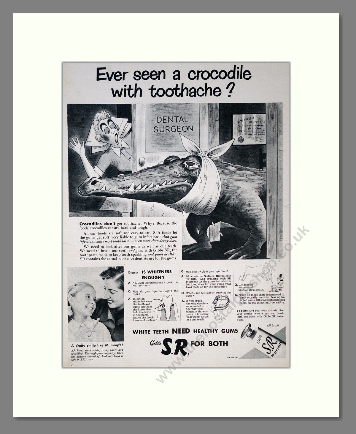 Gibbs S.R. Toothpaste. Original Advert 1953 (ref AD303984)