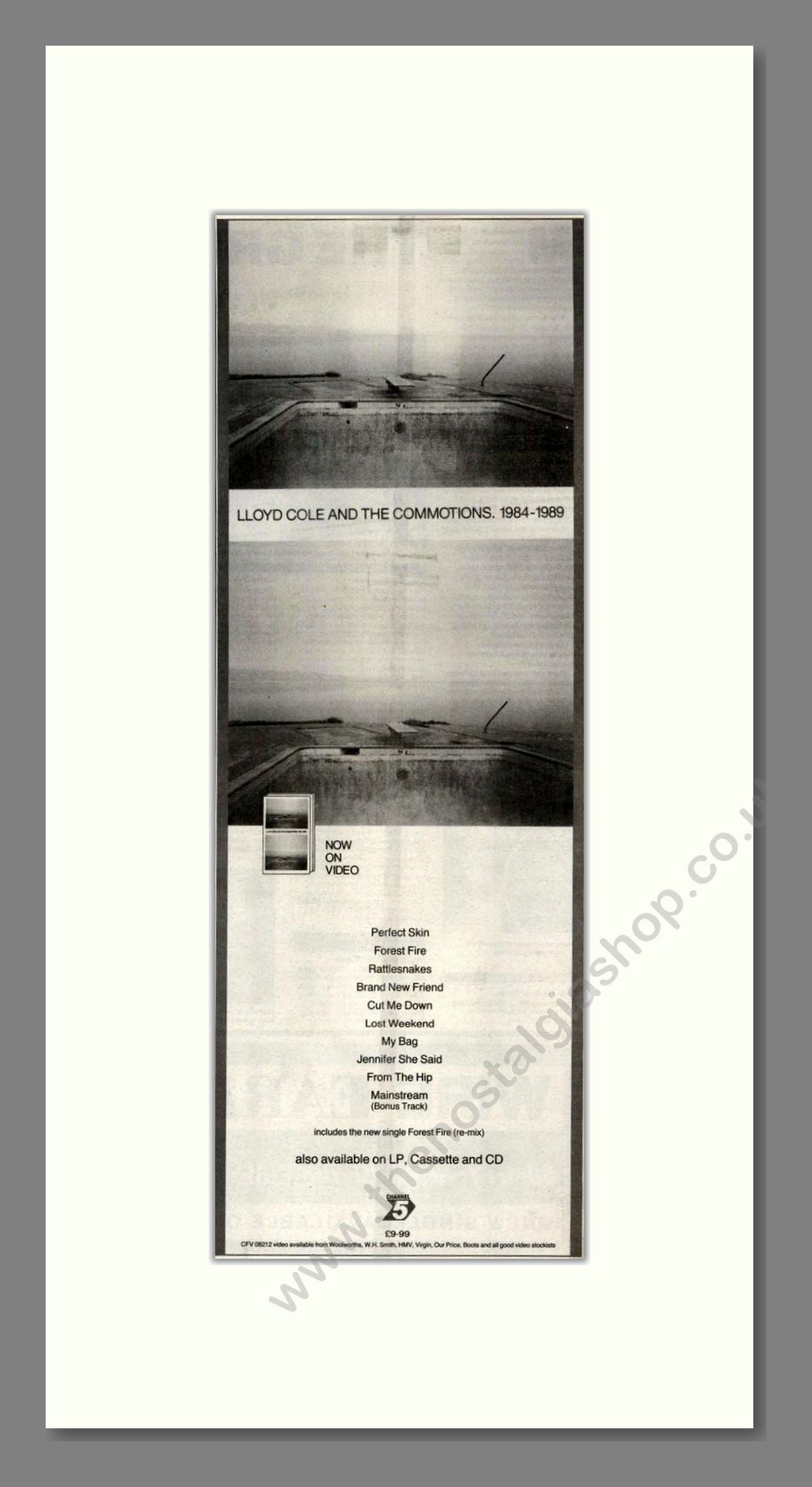 Lloyd Cole - Best Of. Vintage Advert 1989 (ref AD201604)