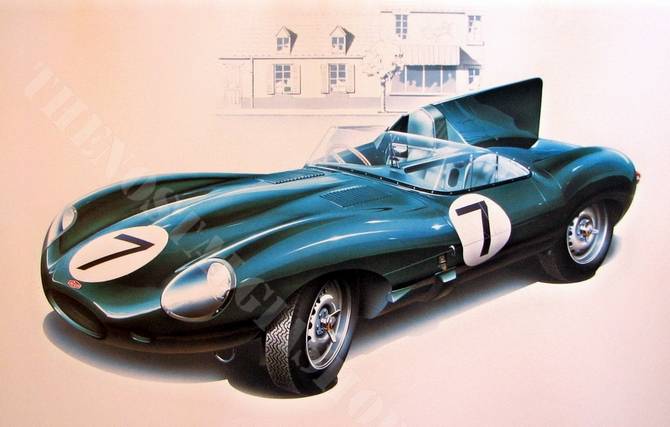 Jaguar D-Type 1956 large print