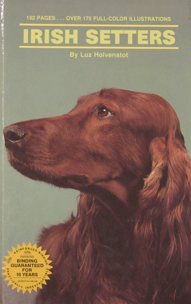 Irish Setters (ref b23)