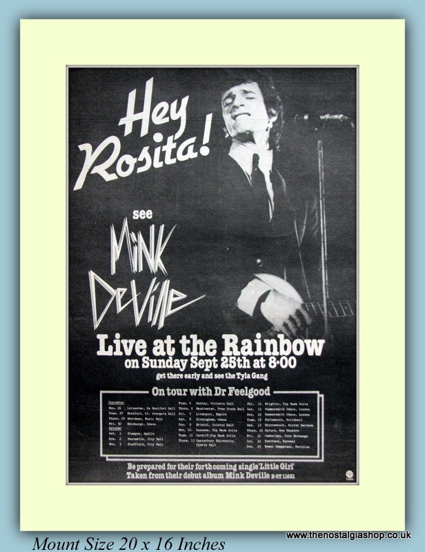 Hey Rosita See Mink Deville Original Advert 1977 (ref AD9125)