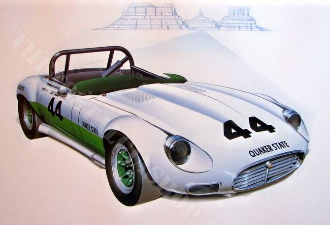 Jaguar E-Type Group 44 1974 large print