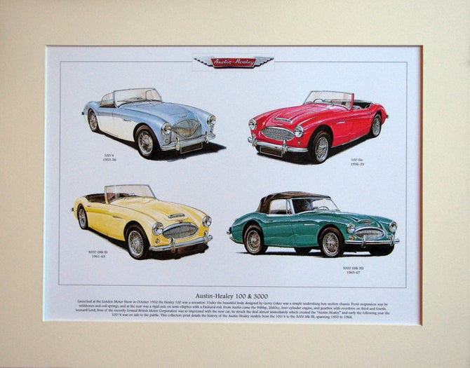 Austin - Healey 100 & 3000 Mounted Print