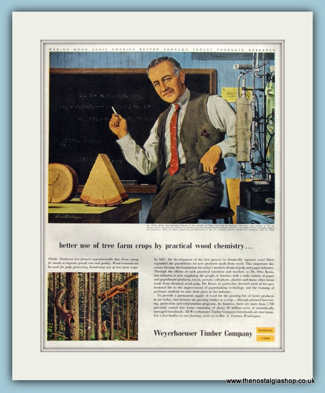 Weyerhaeuser Timber Company Original Advert 1954 (ref AD8279)