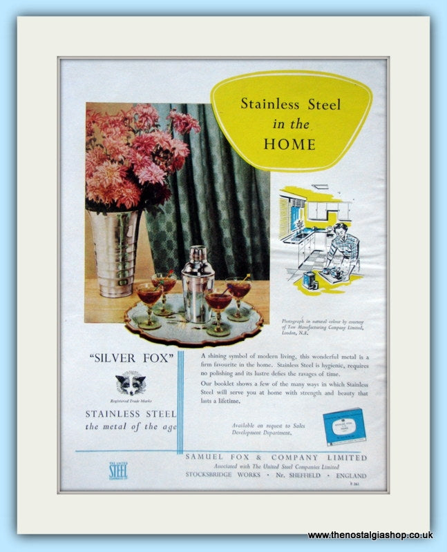 Silver Fox Stainless Steel. Original Advert 1955 (ref AD4850)