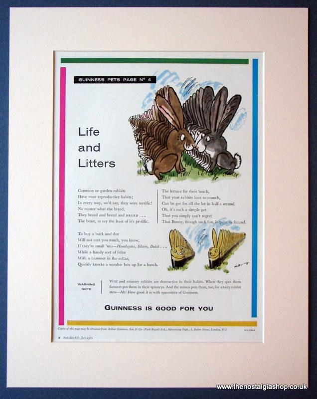 Guinness. Set of 2 Original adverts 1961 (ref AD1114)