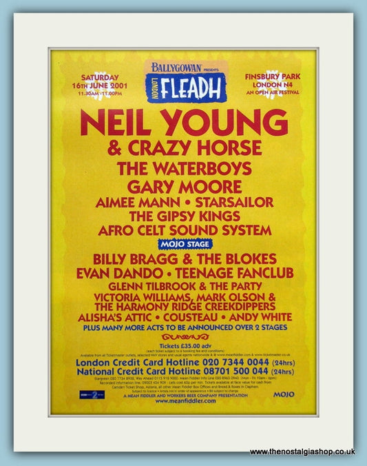 Fleadh Festival Advert June 2001 (ref AD3359)