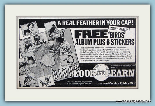 Look and Learn Free Birds Album And Stickers Original Advert 1979 (ref AD6401)