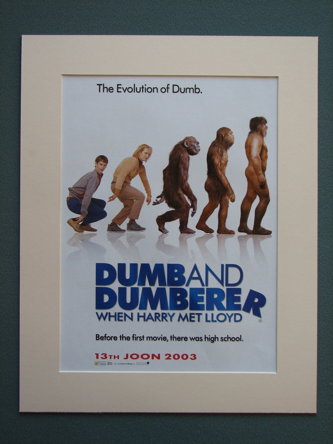 Dumb And Dumberer When Harry Met Lloyd 2003 (ref AD753)