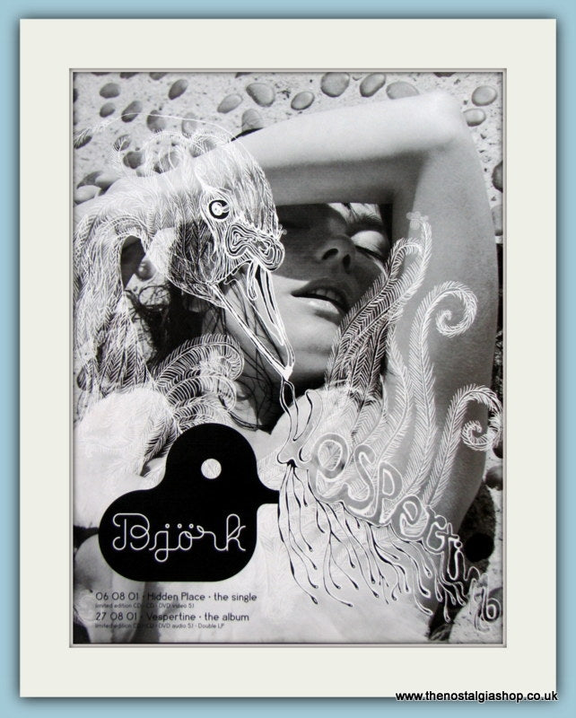 Bjork Vespertine Original Music Advert 2001 (ref AD3534)