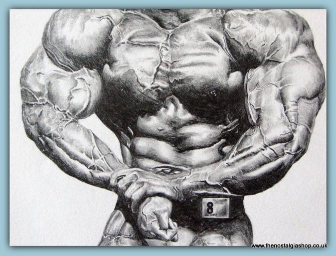 Kevin Levrone, Top IFBB Bodybuilder. Original Pencil Drawing.